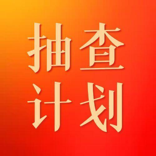 康保县消防救援大队2025年11月份双随机一公开抽查计划
